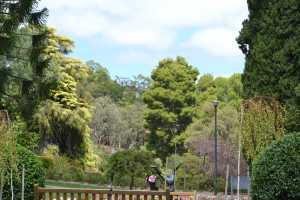 carrick hill 2014 (100)